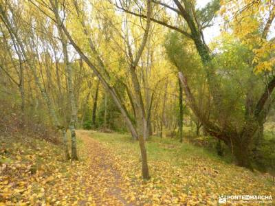 Hoces Río Duratón-Sepúlveda; lagunas de villafafila rio cuervo macizo galaico